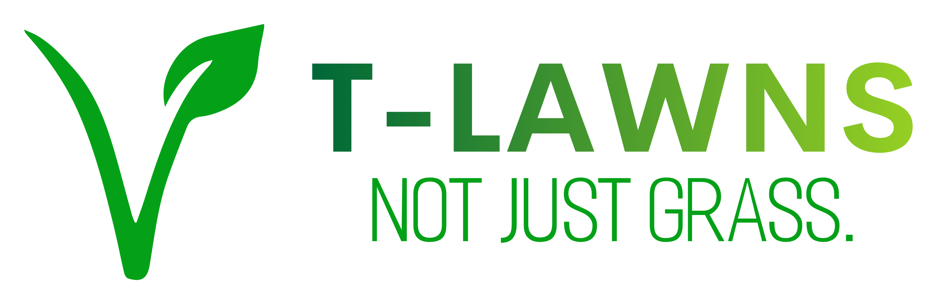 Color logo with background